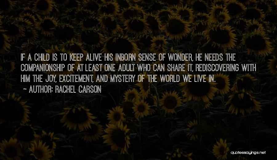 Keep A Child Alive Quotes By Rachel Carson