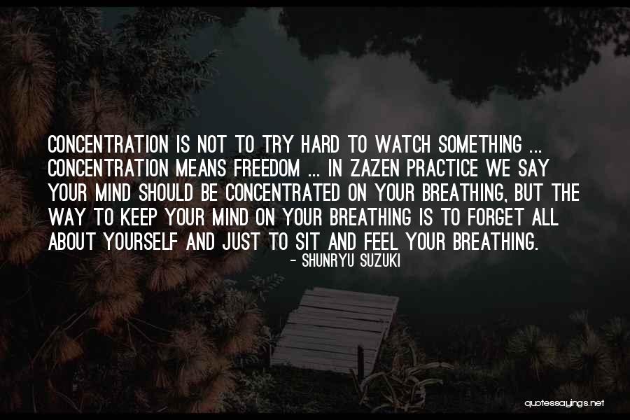 Keep Breathing Quotes By Shunryu Suzuki