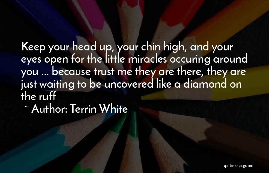 Keep Chin Up Quotes By Terrin White