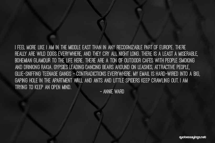 Keep Dancing Quotes By Annie Ward Keep Dancing Quotes By Annie Ward