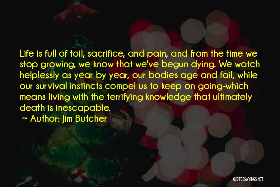 Keep Going On With Life Quotes By Jim Butcher