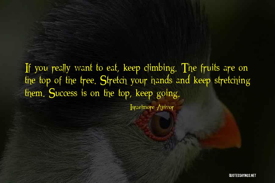 Keep Going Success Quotes By Israelmore Ayivor