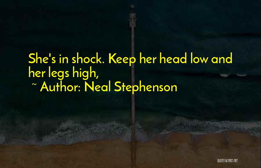 Keep Head Up High Quotes By Neal Stephenson