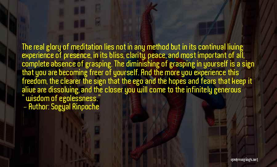 Keep Hopes Up Quotes By Sogyal Rinpoche