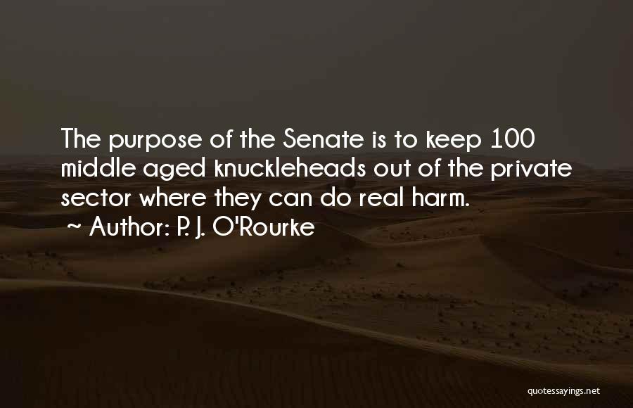Keep It 100 Real Quotes By P. J. O'Rourke