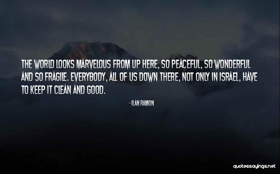 Keep It Clean Quotes By Ilan Ramon Keep It Clean Quotes By Ilan Ramon