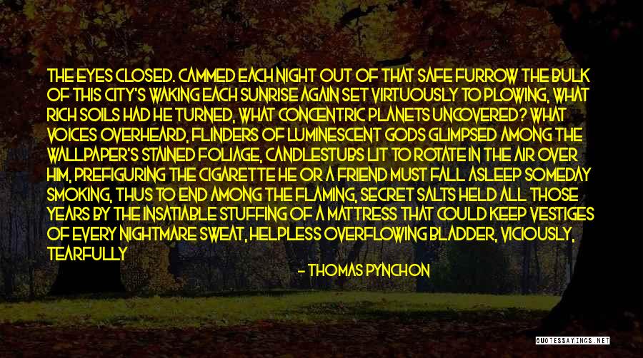 Keep It Lit Quotes By Thomas Pynchon Keep It Lit Quotes By Thomas Pynchon