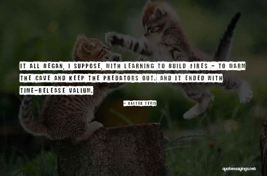 Keep Learning Quotes By Walter Tevis Keep Learning Quotes By Walter Tevis