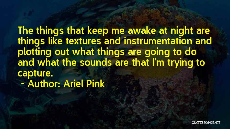 Keep Me Up All Night Quotes By Ariel Pink