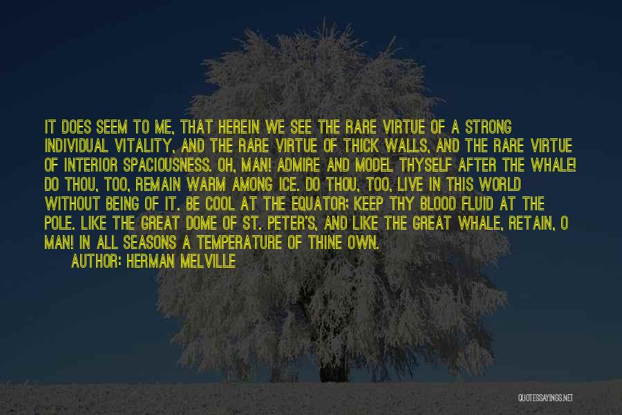 Keep Me Warm Quotes By Herman Melville