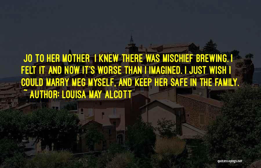 Keep My Family Safe Quotes By Louisa May Alcott