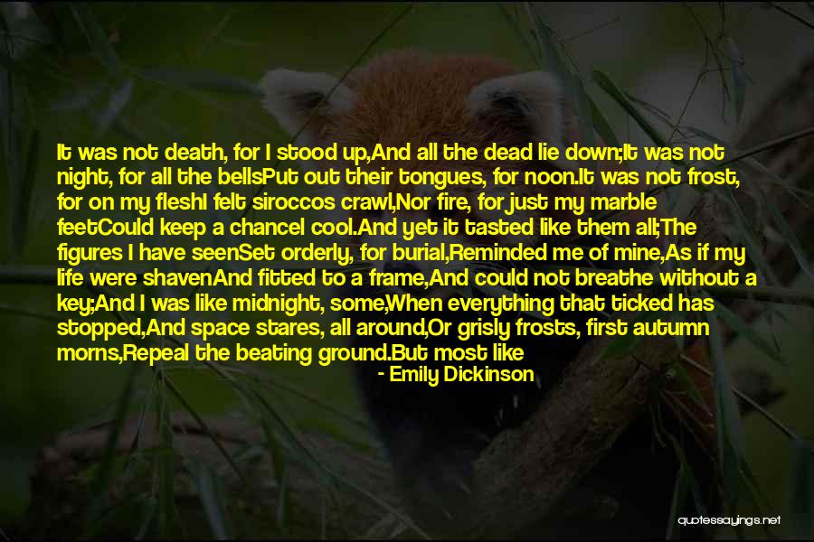 Keep My Feet On The Ground Quotes By Emily Dickinson Keep My Feet On The Ground Quotes By Emily Dickinson