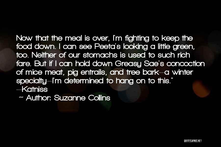 Keep On Fighting Quotes By Suzanne Collins