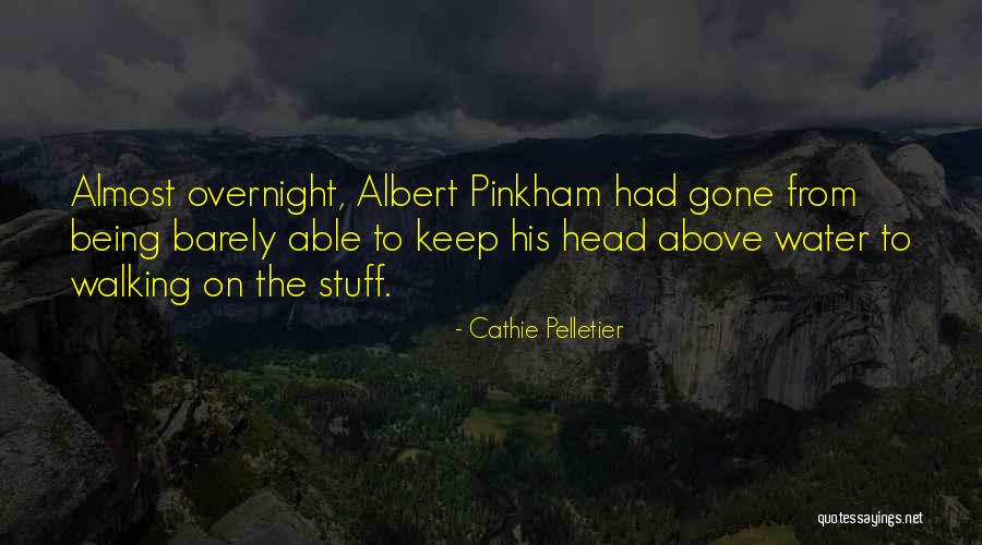 Keep On Walking Quotes By Cathie Pelletier