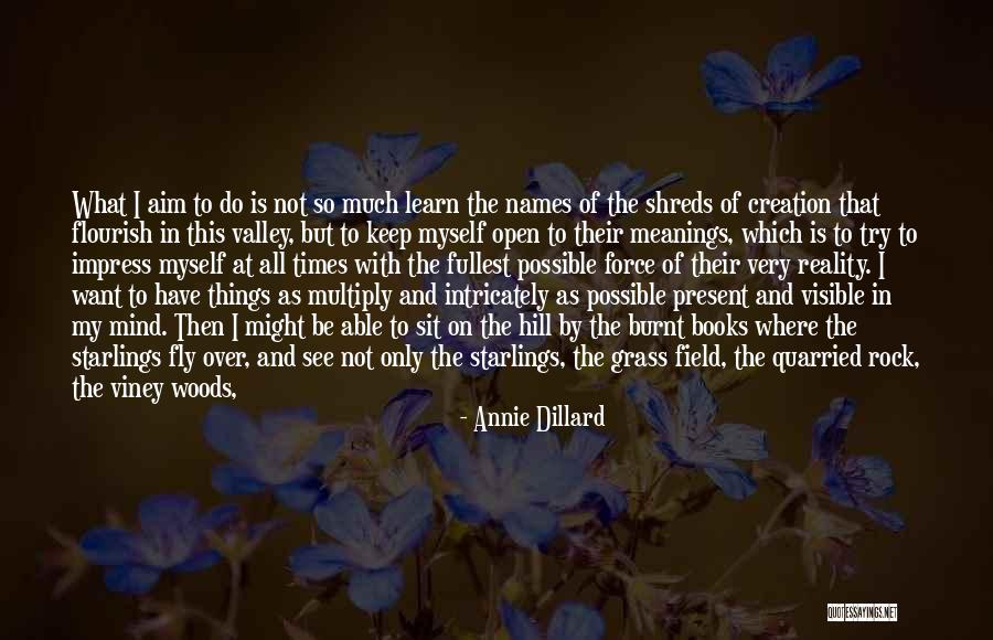Keep One Eye Open Quotes By Annie Dillard Keep One Eye Open Quotes By Annie Dillard