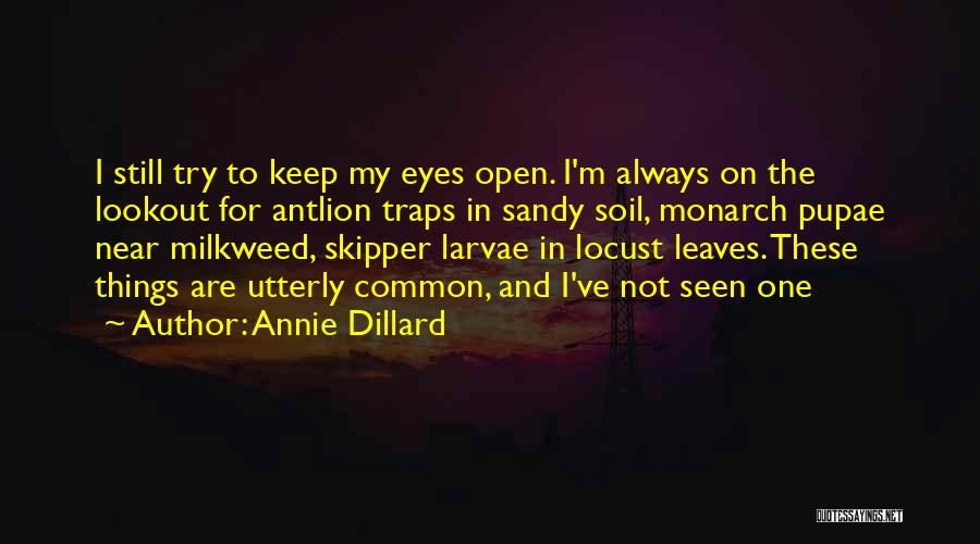 Keep One Eye Open Quotes By Annie Dillard