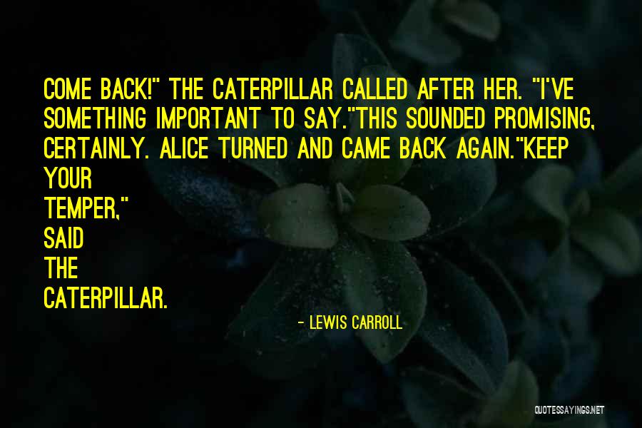 Keep Promising Quotes By Lewis Carroll