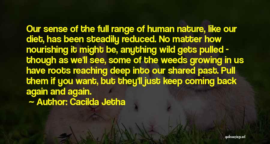 Keep Reaching Quotes By Cacilda Jetha