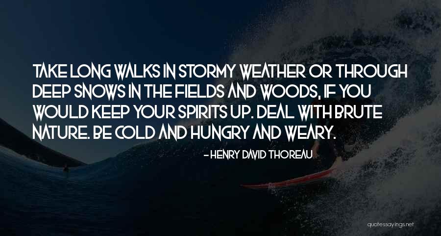 Keep Spirits Up Quotes By Henry David Thoreau