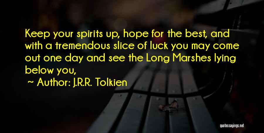 Keep Spirits Up Quotes By J.R.R. Tolkien