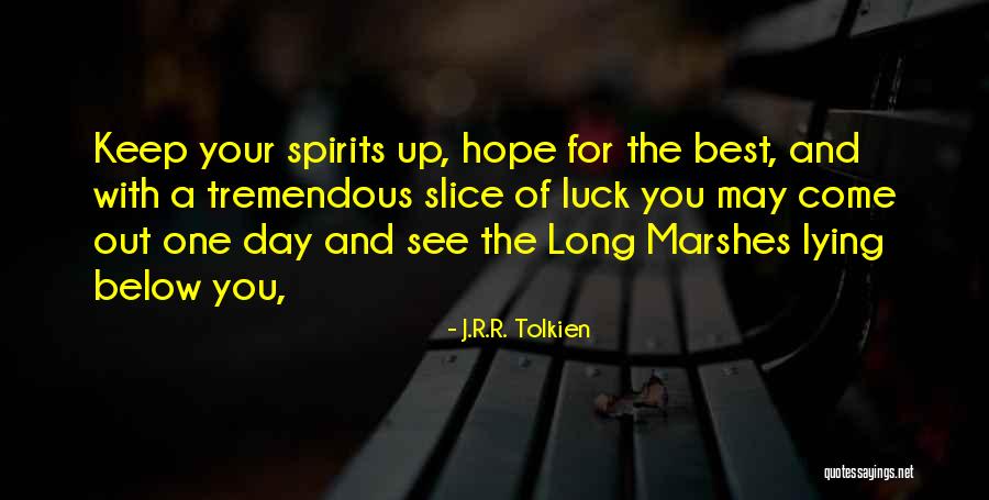 Keep Spirits Up Quotes By J.R.R. Tolkien