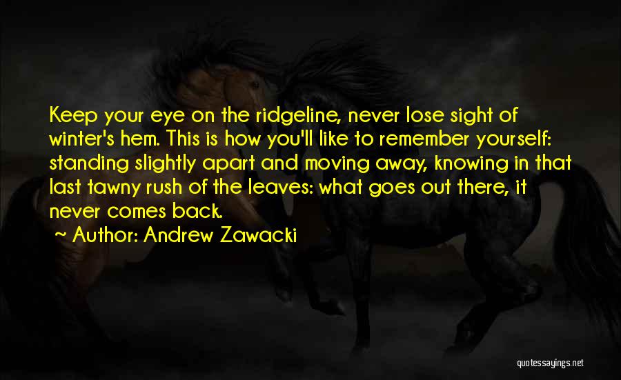 Keep Standing Quotes By Andrew Zawacki