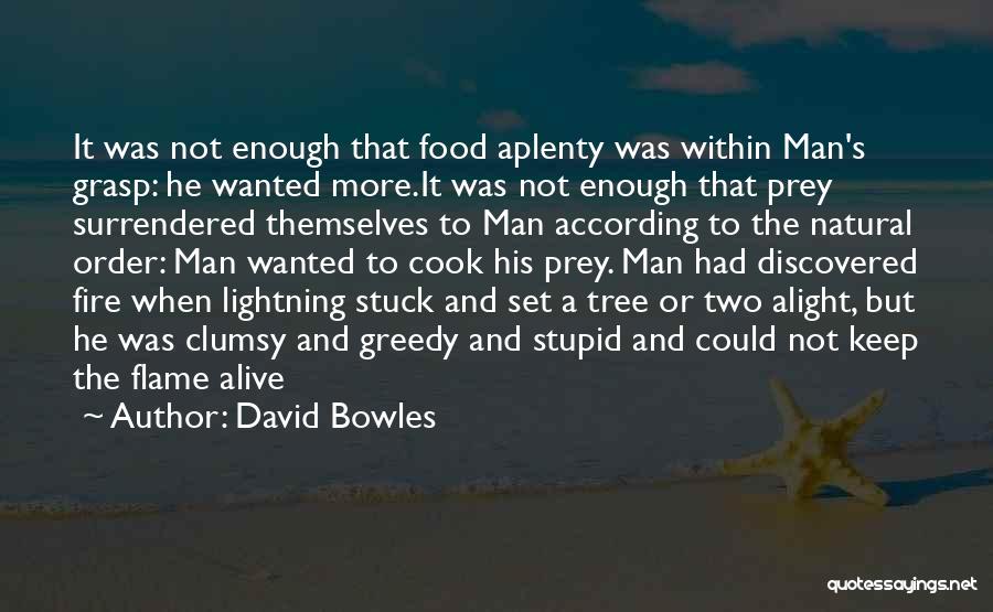 Keep The Fire Alive Quotes By David Bowles