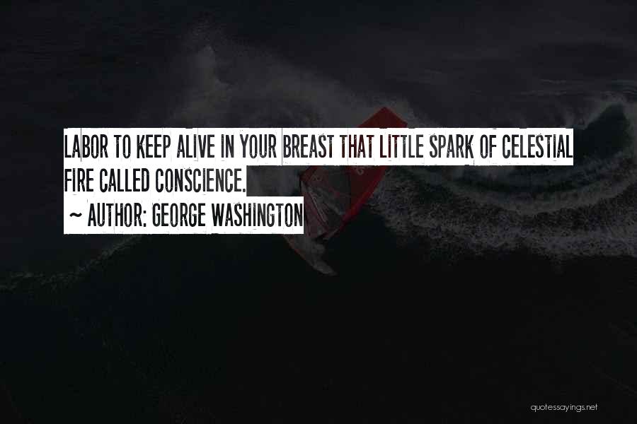 Keep The Fire Alive Quotes By George Washington