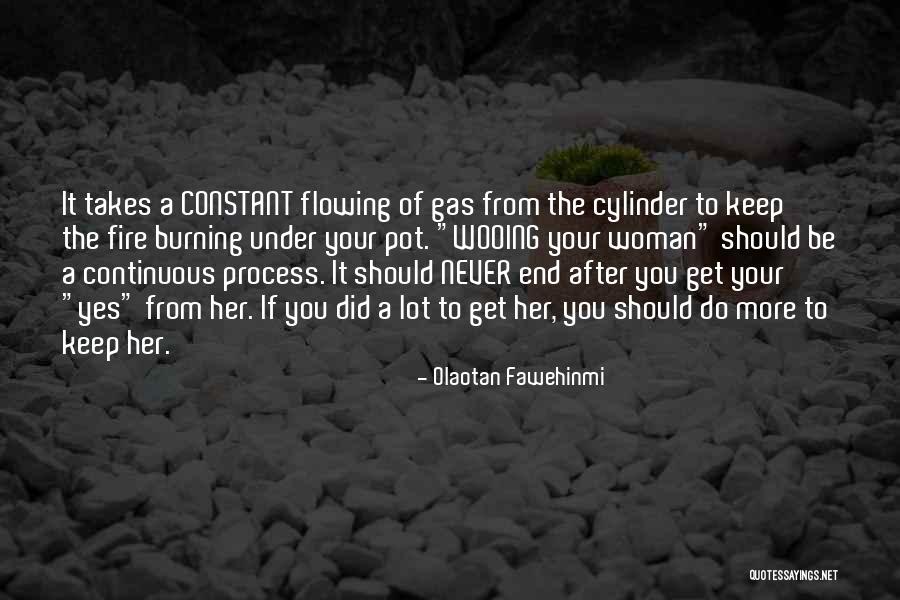 Keep The Fire Burning Quotes By Olaotan Fawehinmi Keep The Fire Burning Quotes By Olaotan Fawehinmi