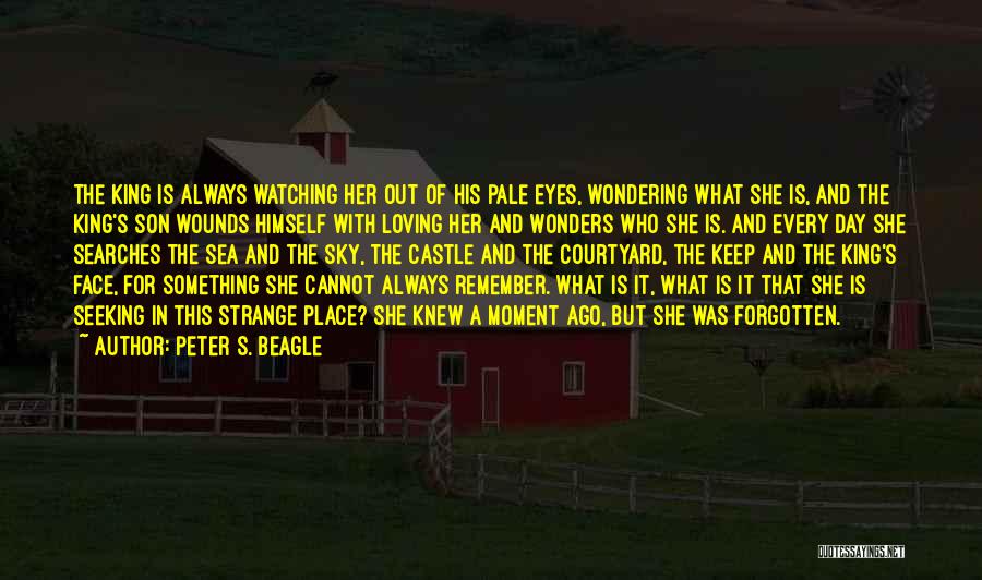 Keep Them Wondering Quotes By Peter S. Beagle