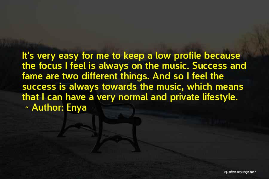 Keep Things Private Quotes By Enya
