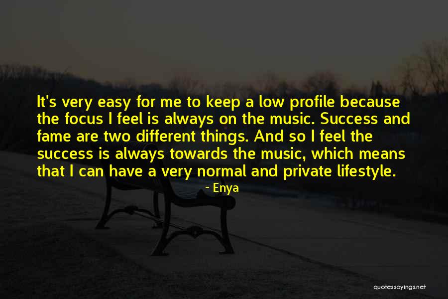 Keep Things Private Quotes By Enya