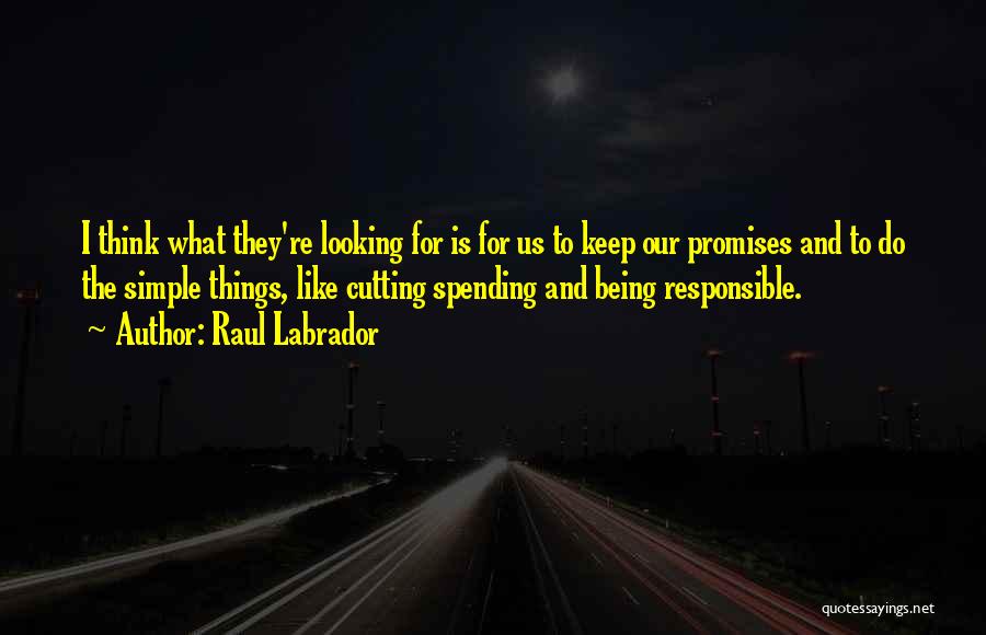 Keep Things Simple Quotes By Raul Labrador