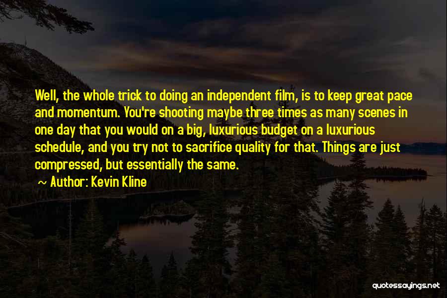 Keep Up Momentum Quotes By Kevin Kline