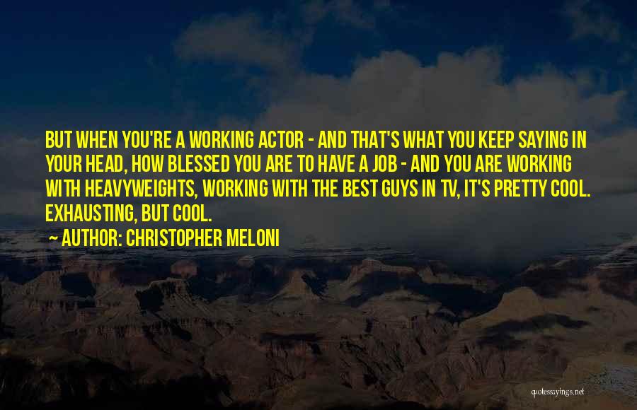 Keep Your Head Cool Quotes By Christopher Meloni