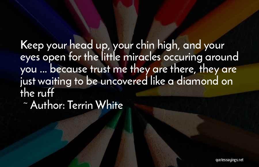 Keep Your Head Up Quotes By Terrin White
