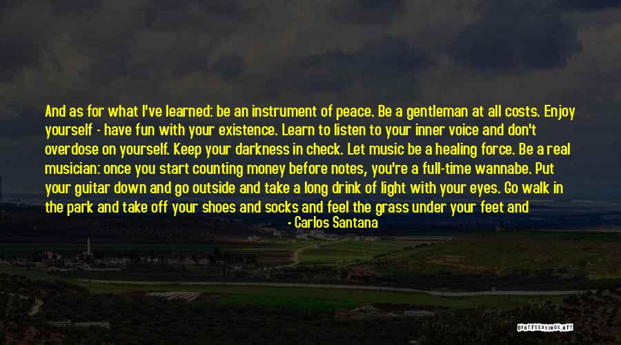 Keep Your Money Quotes By Carlos Santana