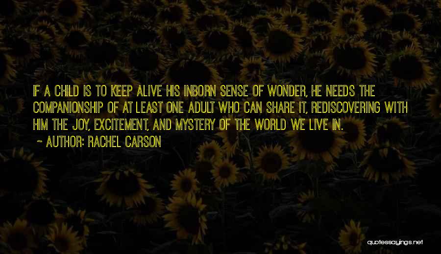 Keep Your Mystery Quotes By Rachel Carson