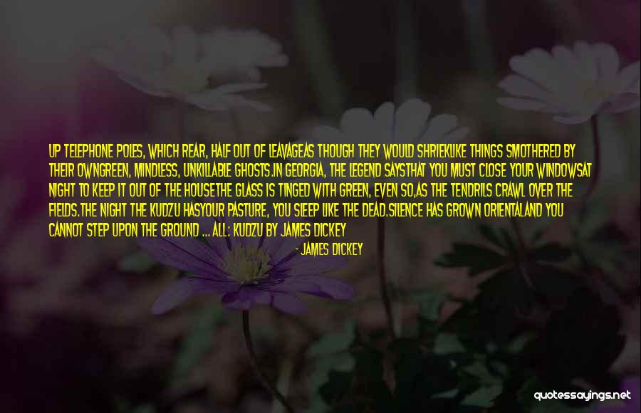 Keep Your Silence Quotes By James Dickey