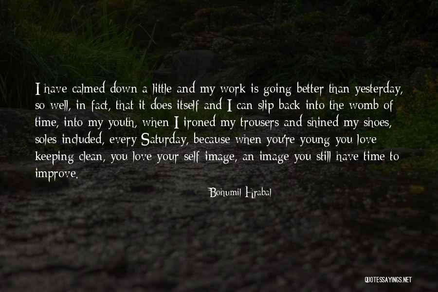 Keeping Clean Quotes By Bohumil Hrabal Keeping Clean Quotes By Bohumil Hrabal
