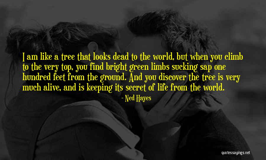Keeping Feet On The Ground Quotes By Ned Hayes Keeping Feet On The Ground Quotes By Ned Hayes