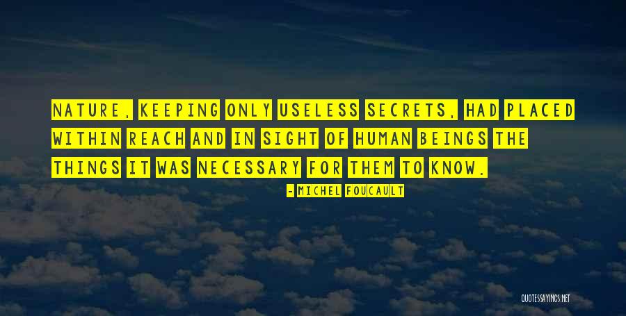 Keeping Secrets From Someone Quotes By Michel Foucault