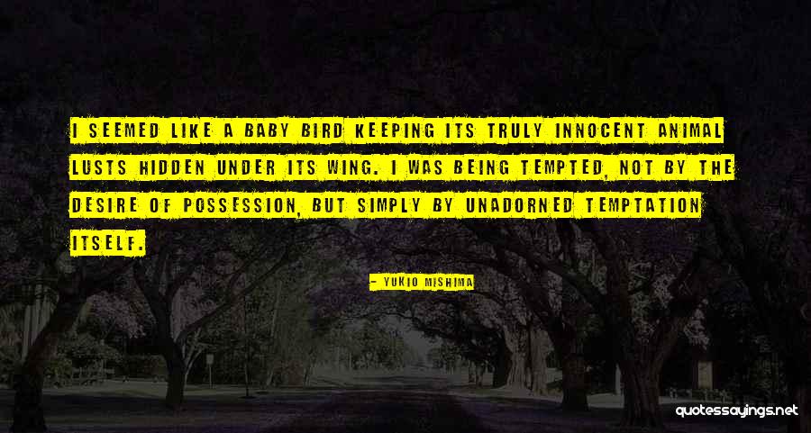 Keeping Things Hidden Quotes By Yukio Mishima Keeping Things Hidden Quotes By Yukio Mishima