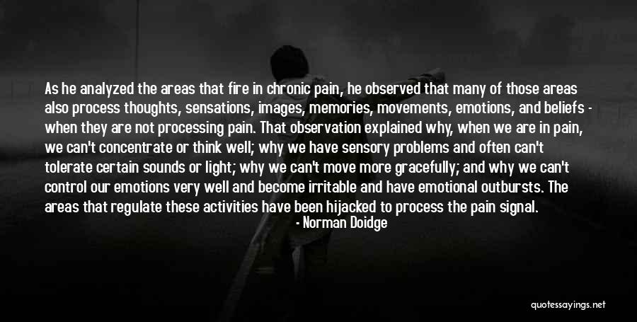 Keesing Documentchecker Quotes By Norman Doidge Keesing Documentchecker Quotes By Norman Doidge