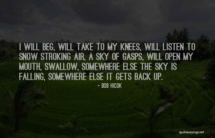 Keester Rabbit Quotes By Bob Hicok Keester Rabbit Quotes By Bob Hicok