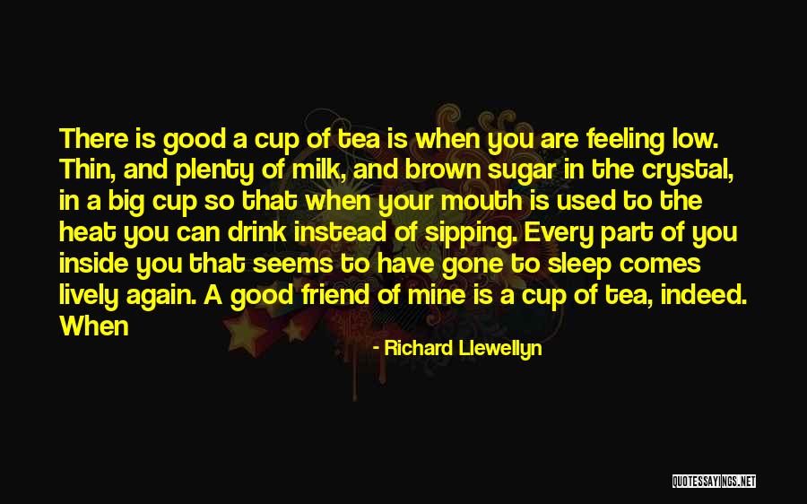 Kegelisahan Itu Quotes By Richard Llewellyn Kegelisahan Itu Quotes By Richard Llewellyn