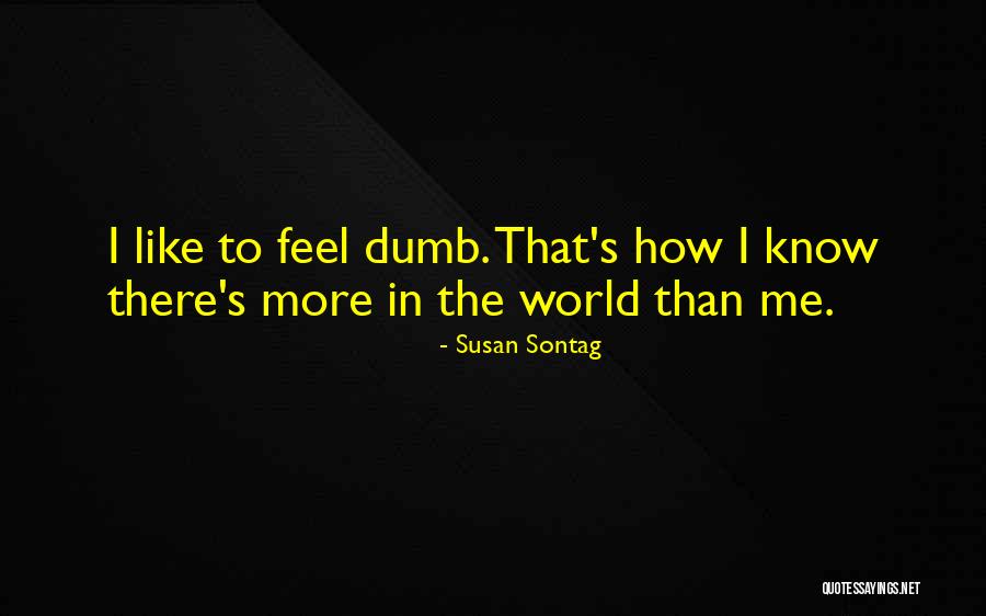 Keggers Quotes By Susan Sontag