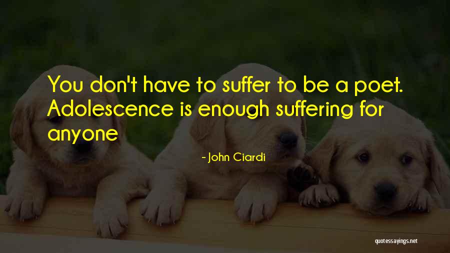 Kehrseite Schlich Kennen Quotes By John Ciardi