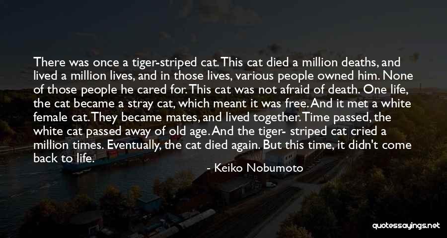 Keiko Nobumoto Quotes 2176487 Keiko Nobumoto Quotes 2176487