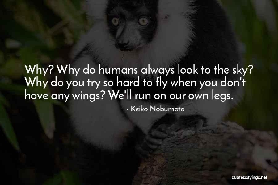 Keiko Nobumoto Quotes 569139 Keiko Nobumoto Quotes 569139
